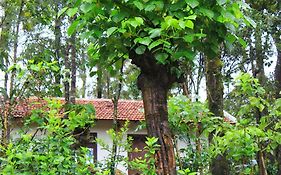 Vastare Homestay And Resort Chikmagalur